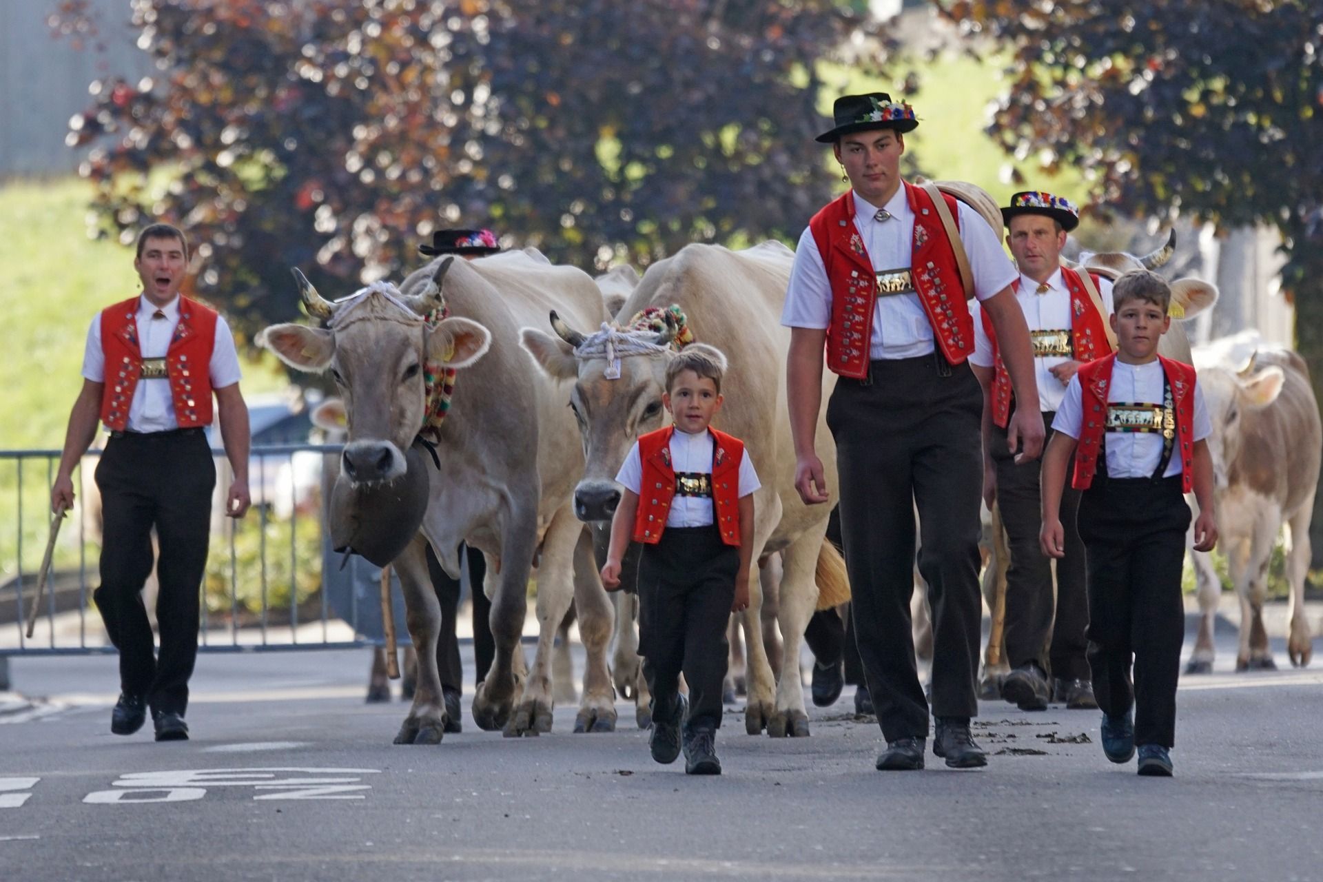 Agriculteurs avec des vaches à Appenzell, costumes traditionnels, ambiance rurale, belle nature.