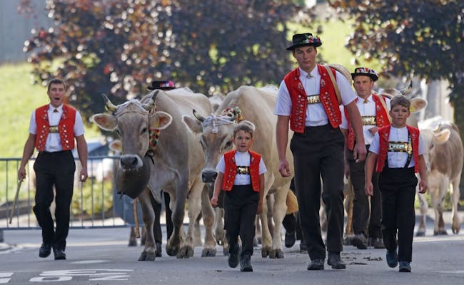 Granjeros con vacas en Appenzell, trajes tradicionales, atmósfera rural, hermosa naturaleza.