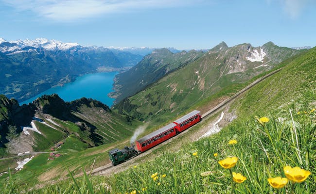 Brienzer Rothornbahn travels over lush meadows in the Bernese Oberland.