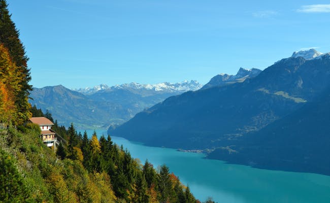 Vue depuis Harder Kulm avec vue sur les montagnes et le ruisseau turquoise, idéal pour les amoureux de la nature.