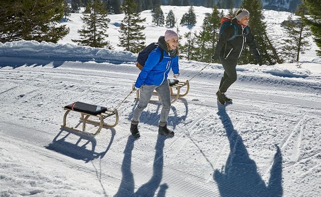 Sledding in Switzerland | Swiss Activities
