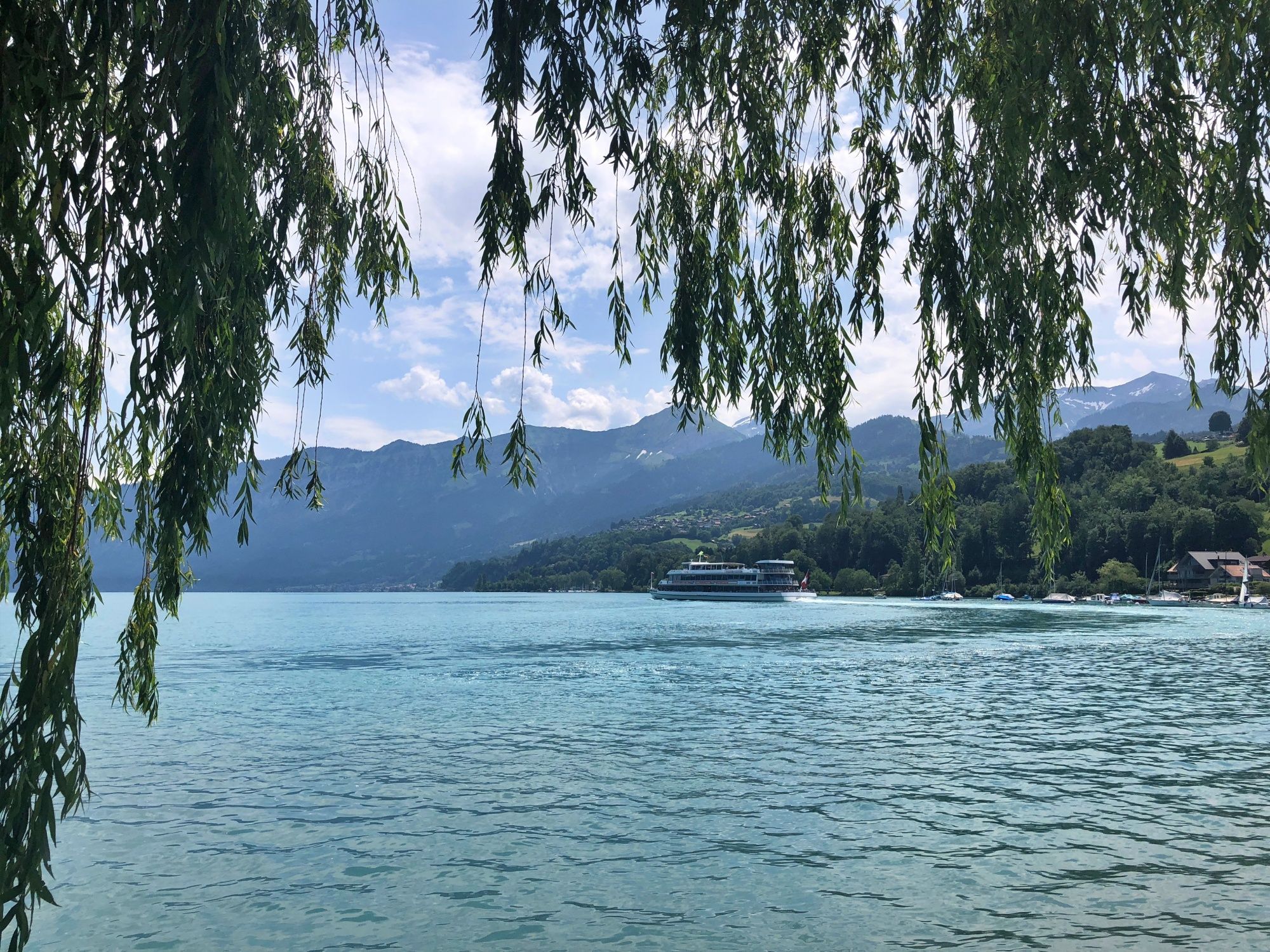 Thunersjön med fartyg på våren, omgiven av berg och växtlighet.