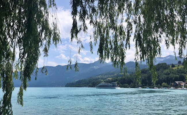 Lago di Thun (Foto: Seraina Zellweger)
