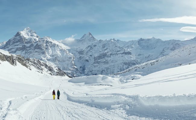 Randonnée hivernale sur le Schreckhorn (photo : Jungfraubahnen)