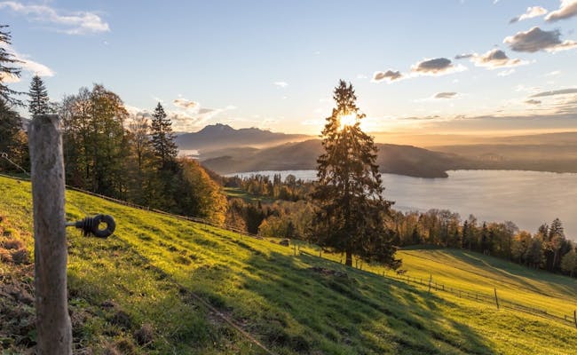 Zugerberg: vista romántica del lago de Zug en otoño con montañas y naturaleza.