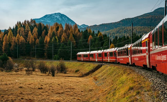 Der Bernina Express bei Pontresina (Foto: Schweiz Tourismus Jan Geerk)