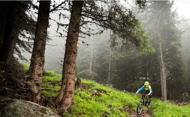 Rota de MTB 158 Haexutrail: Vive o mountain biking nas florestas da Suíça.