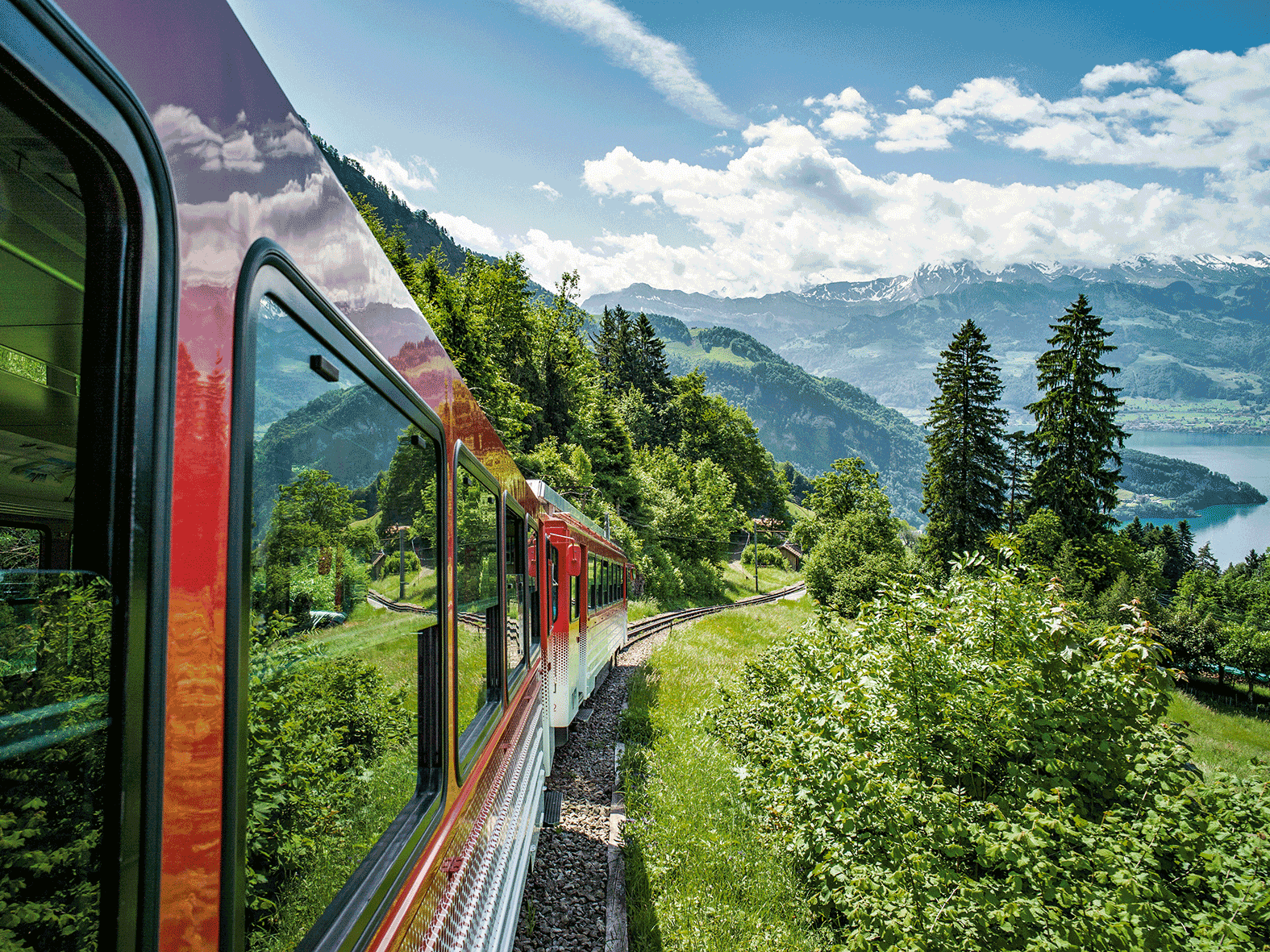 รถไฟในสวิตเซอร์แลนด์วิ่งไปตามแนวทุ่งหญ้าสีเขียวและภูเขา