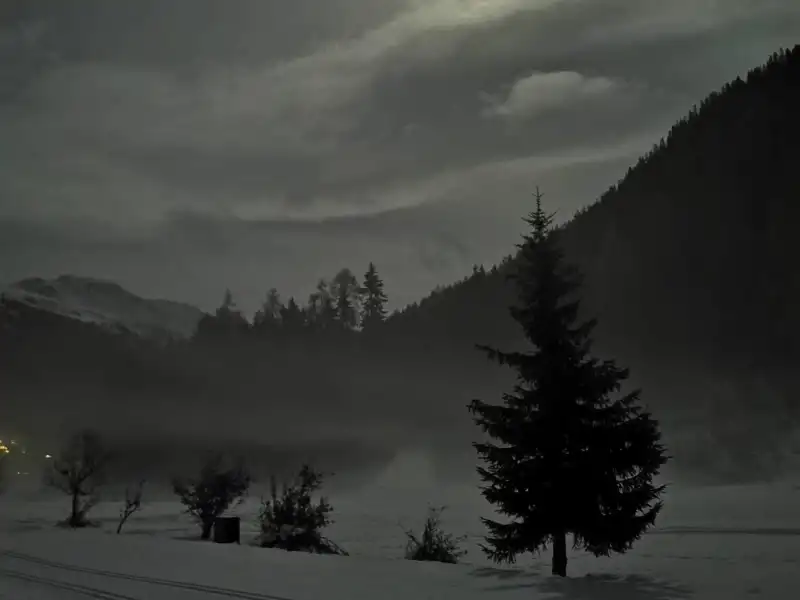 Cross-country skiing under a full moon with a snow-covered background and trees.