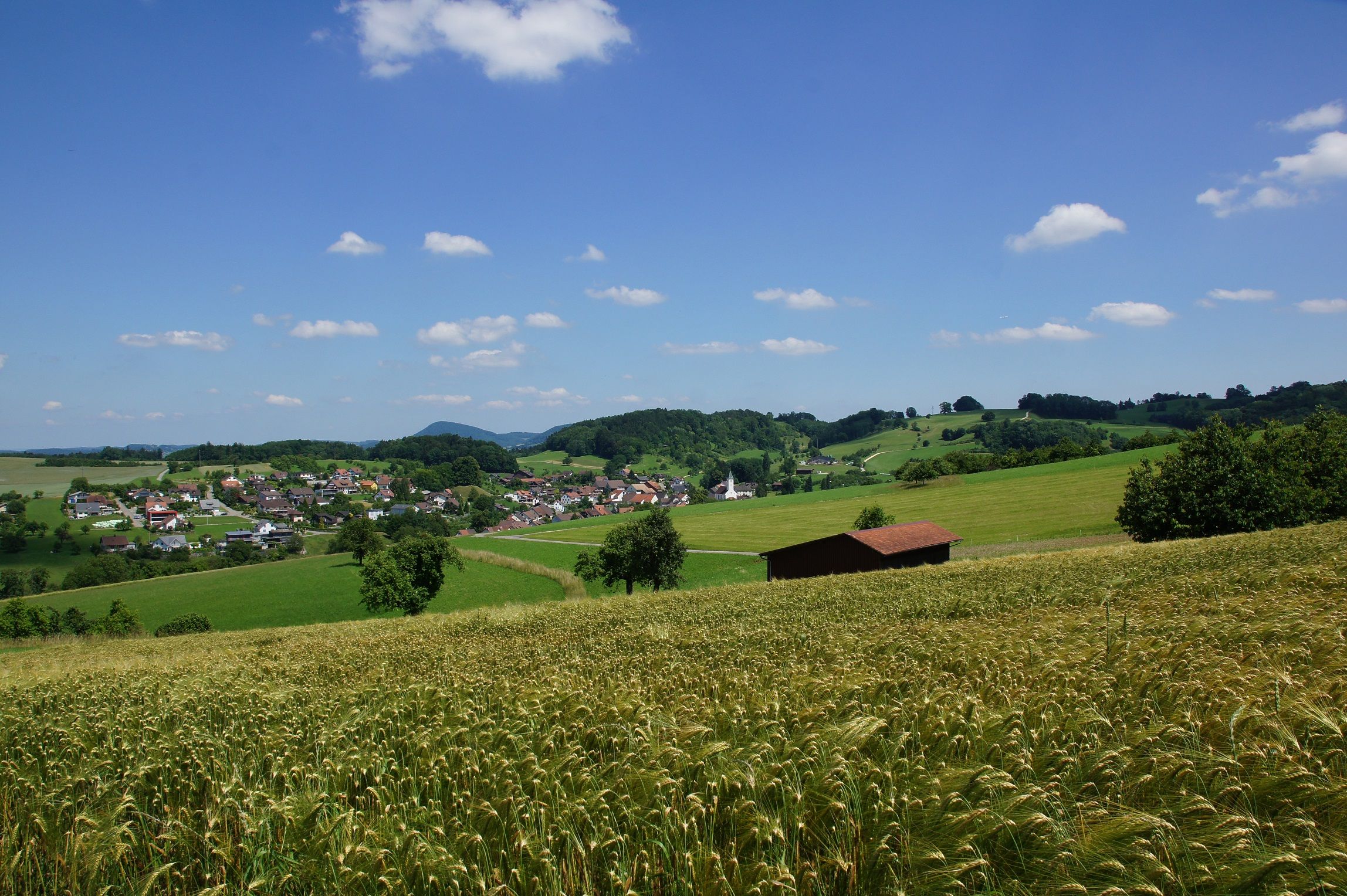 Wandeling: schilderachtig landschap in Schupfart met dennenbomen en charmant dorp in de zomer.