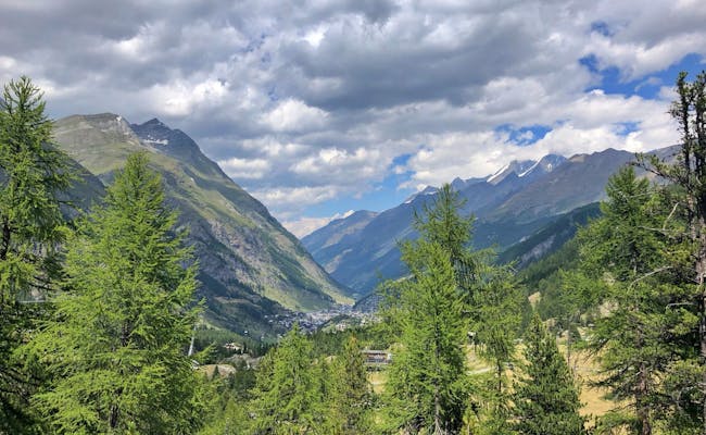 Zermatt zomer met groene bossen en bergen, wandelaars genieten van het uitzicht