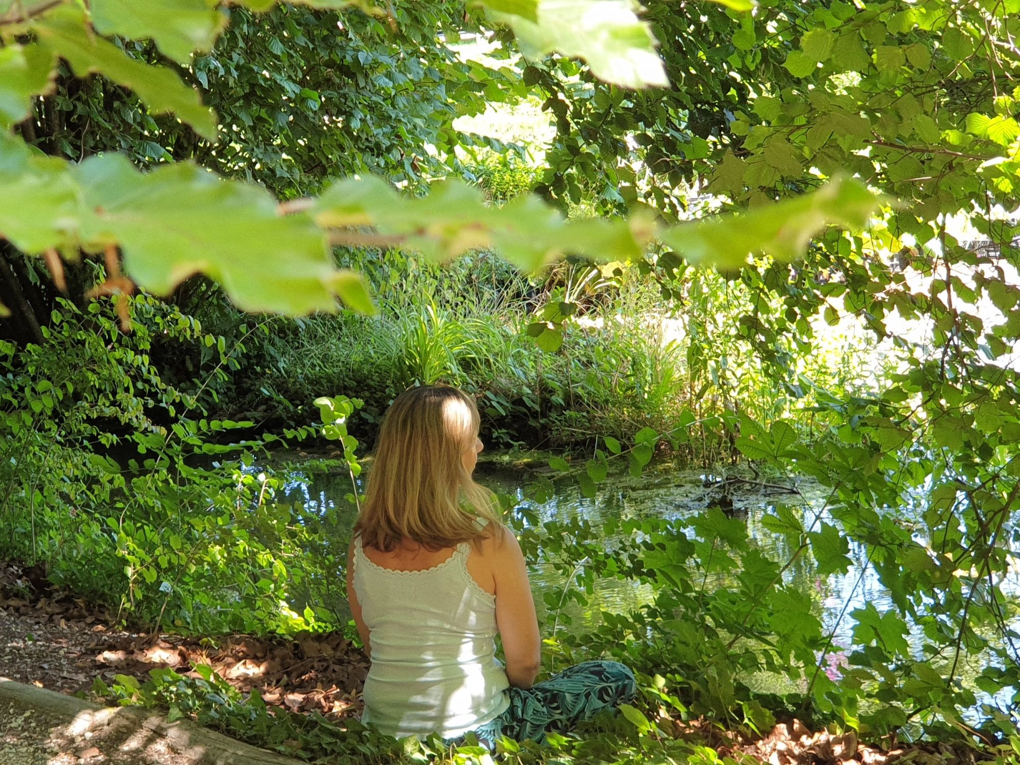 Skogsvälbefinnande: Koppla av med skogsbad i naturen, omgiven av gröna växter och klart vatten.