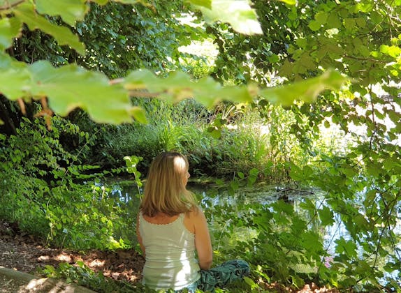 Forest Wellness: Relax while forest bathing in nature, surrounded by green plants and clear water.