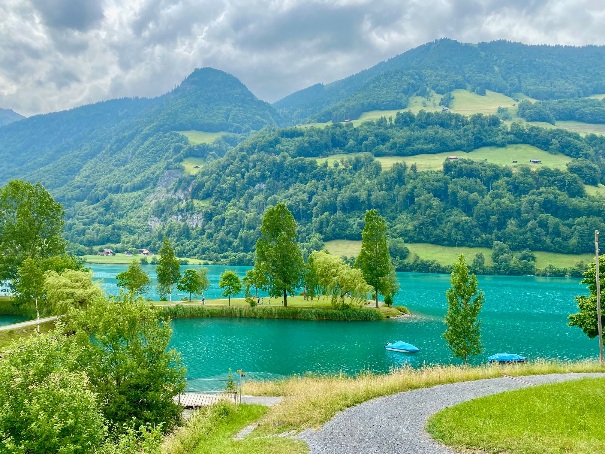 瑞士夏天的绿色湖泊、树木和山景。