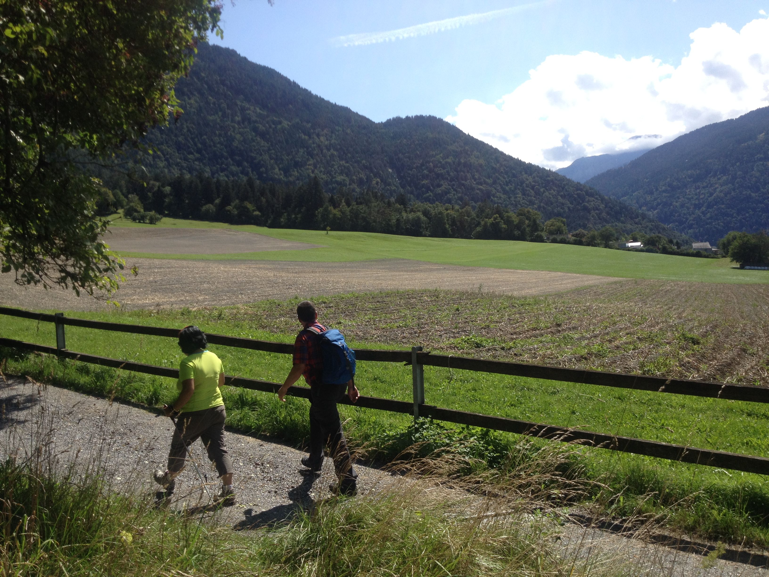 متجول على ارتفاعات شوري بالقرب من شوري في عام 2023.