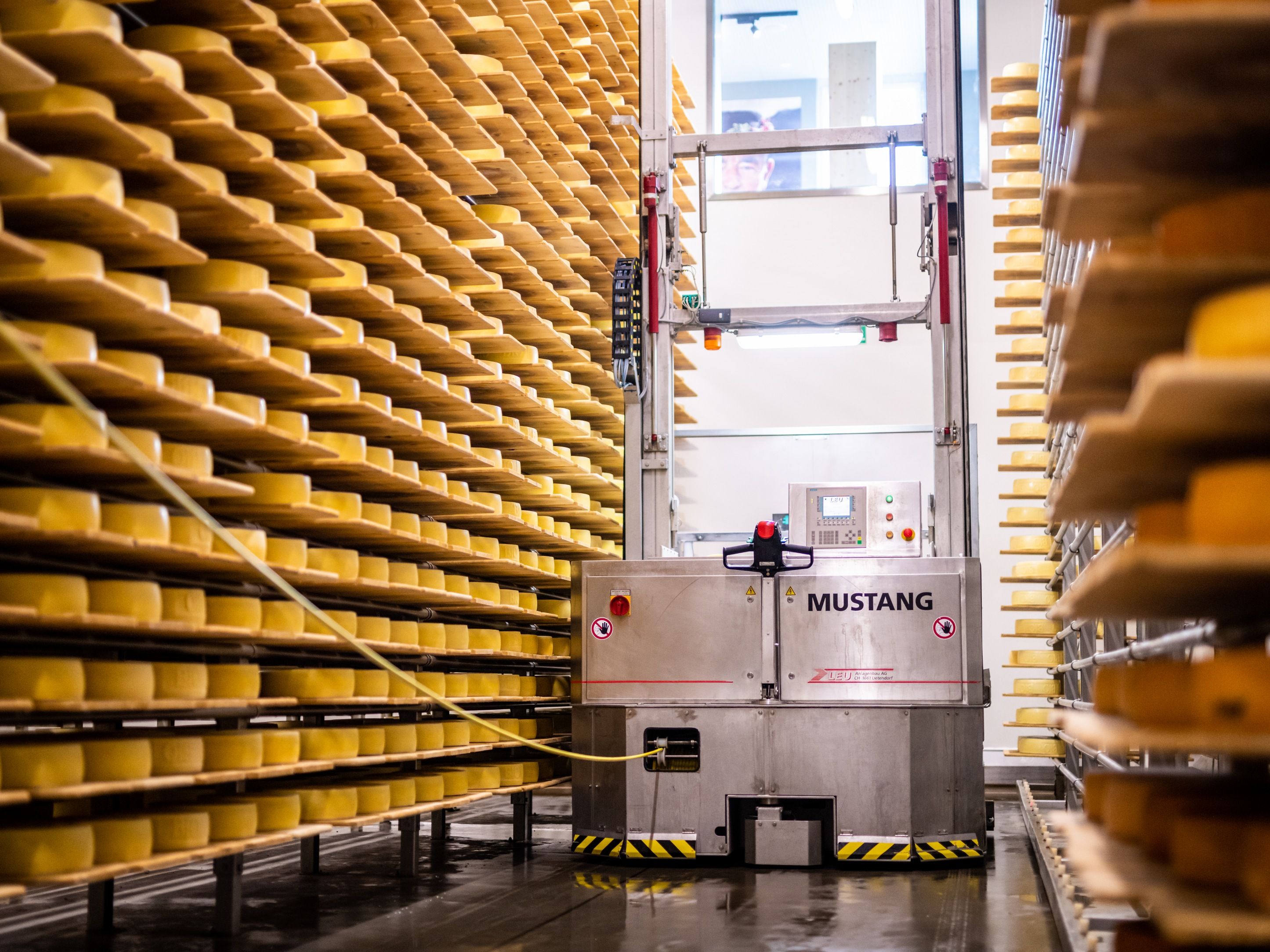 Gua Keju: Temukan dunia menarik pembuatan dan penyimpanan keju dalam suasana mengesankan.