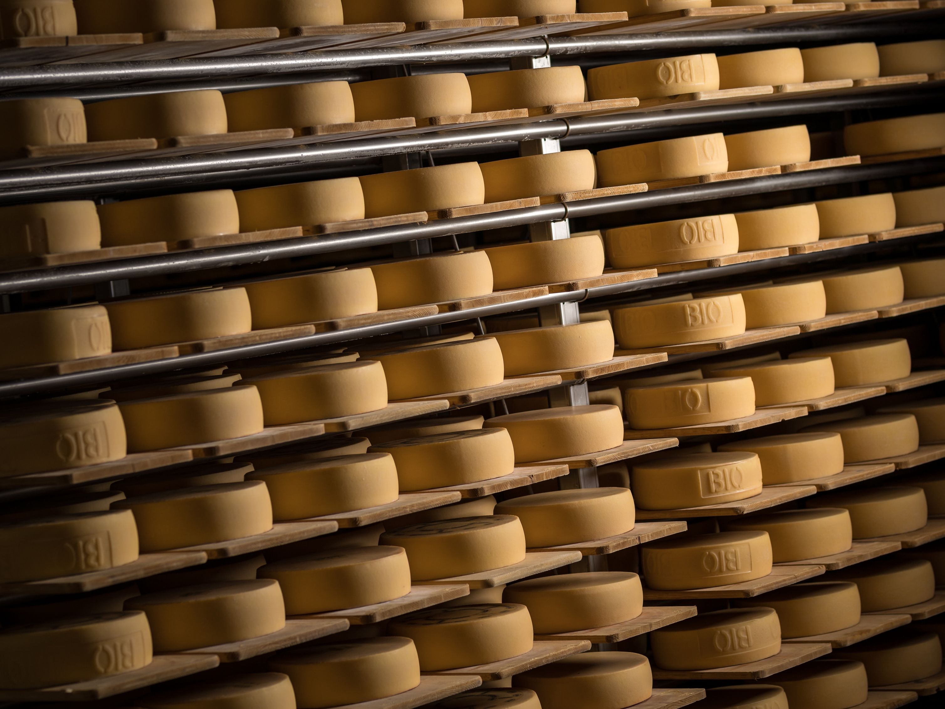 Ost: Blick på ostkuberna i Appenzeller visostfabrik, en plats för ostälskare.