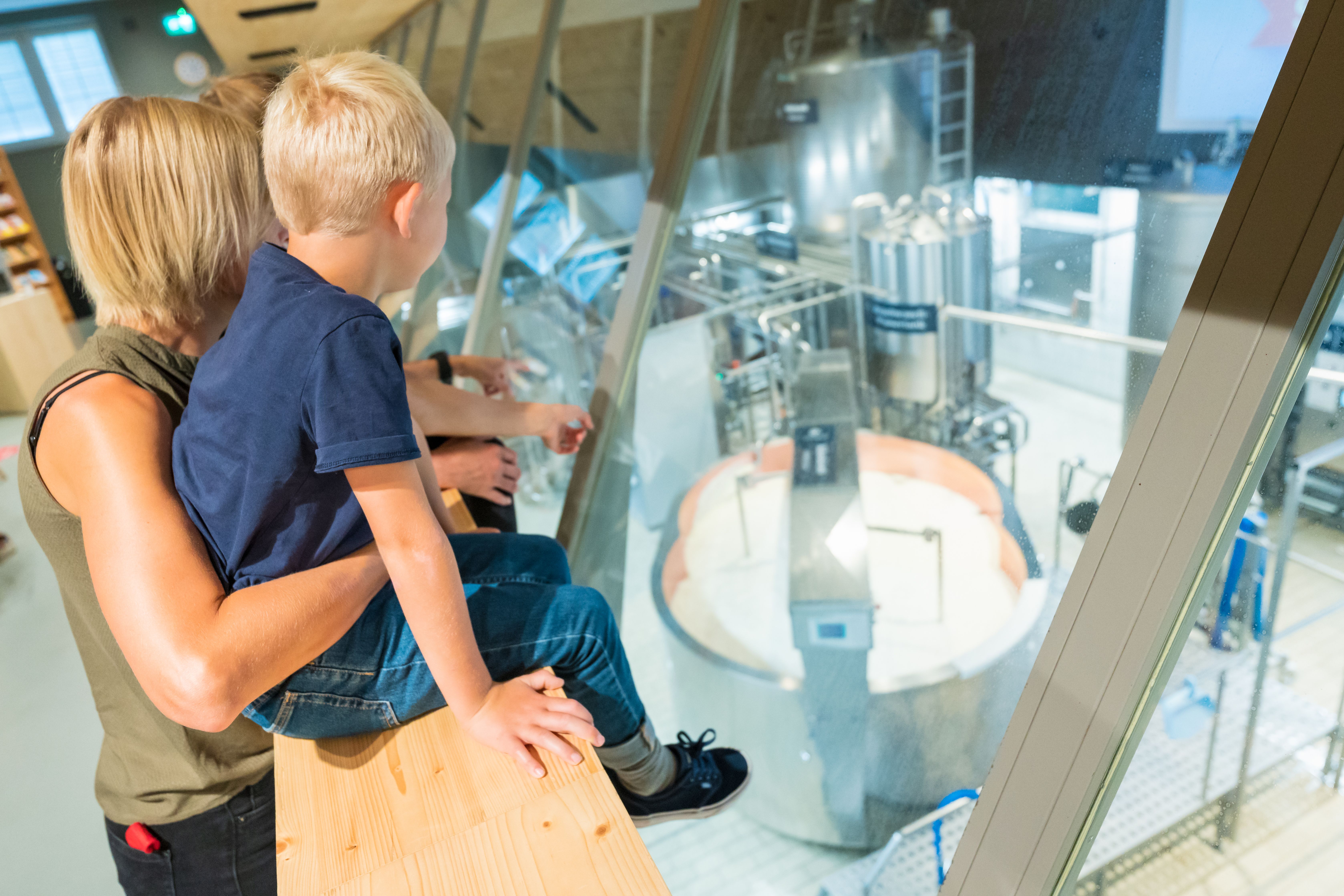Museum Keju Appenzeller: Rasakan pembuatan keju yang menarik bersama keluarga.