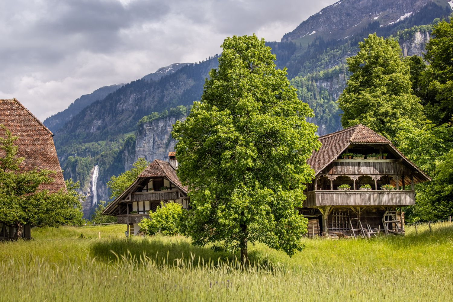 巴伦贝格：如画的风景，传统房屋，郁郁葱葱的绿意，群山和瀑布。