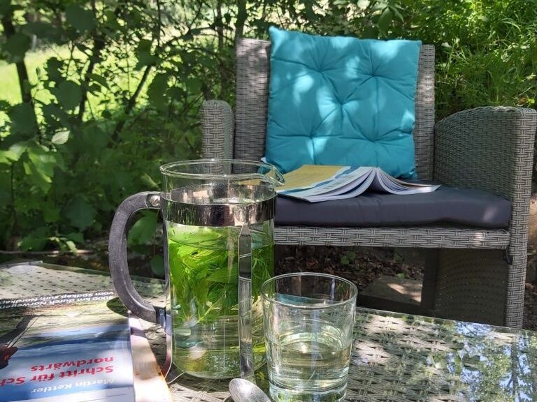 Fresh mint tea on the garden table, surrounded by plants