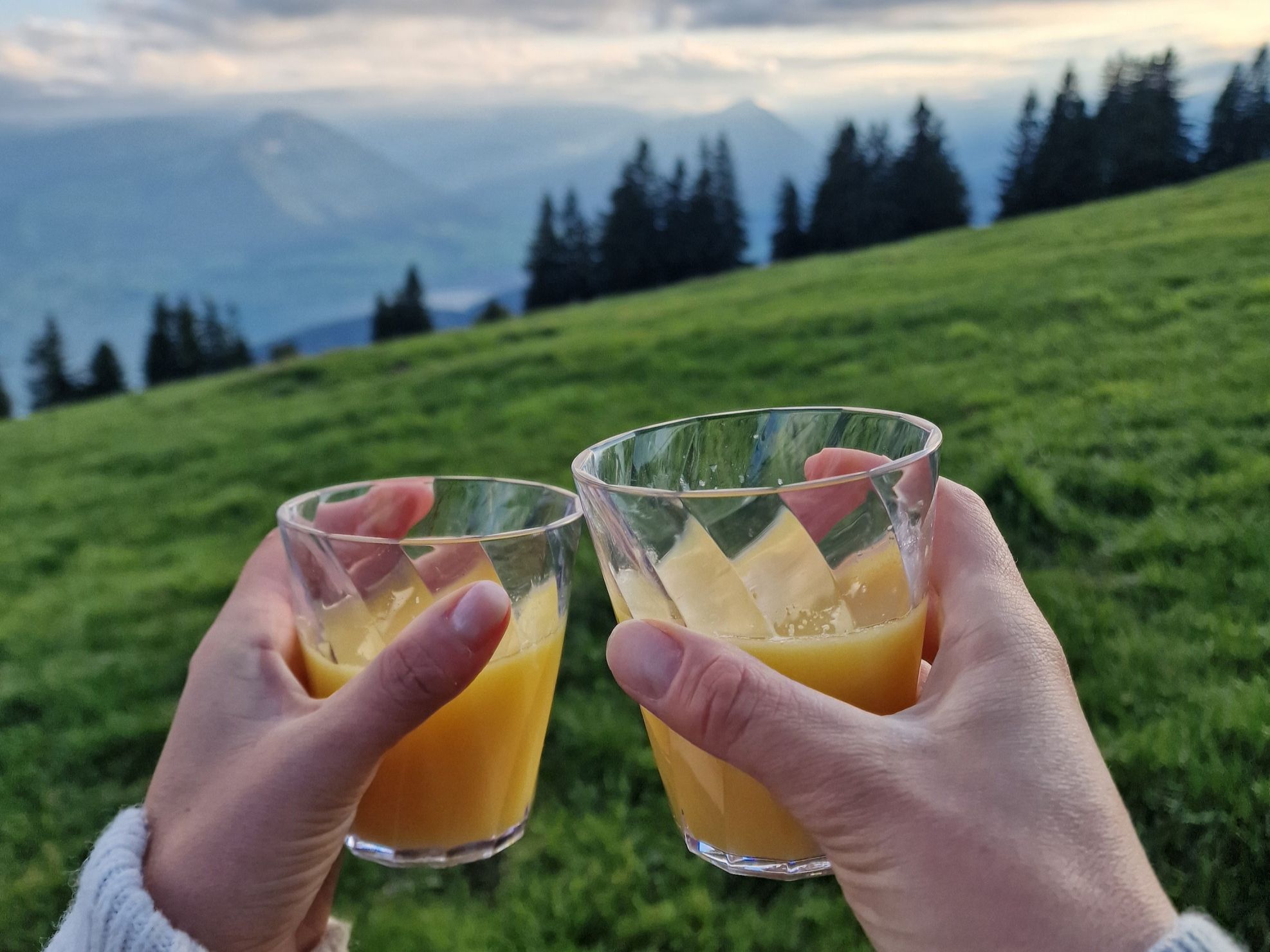 Zmorge Seebodenalp mit Blick auf die Berge und Natur, ideal für Entspannung im Sommer.