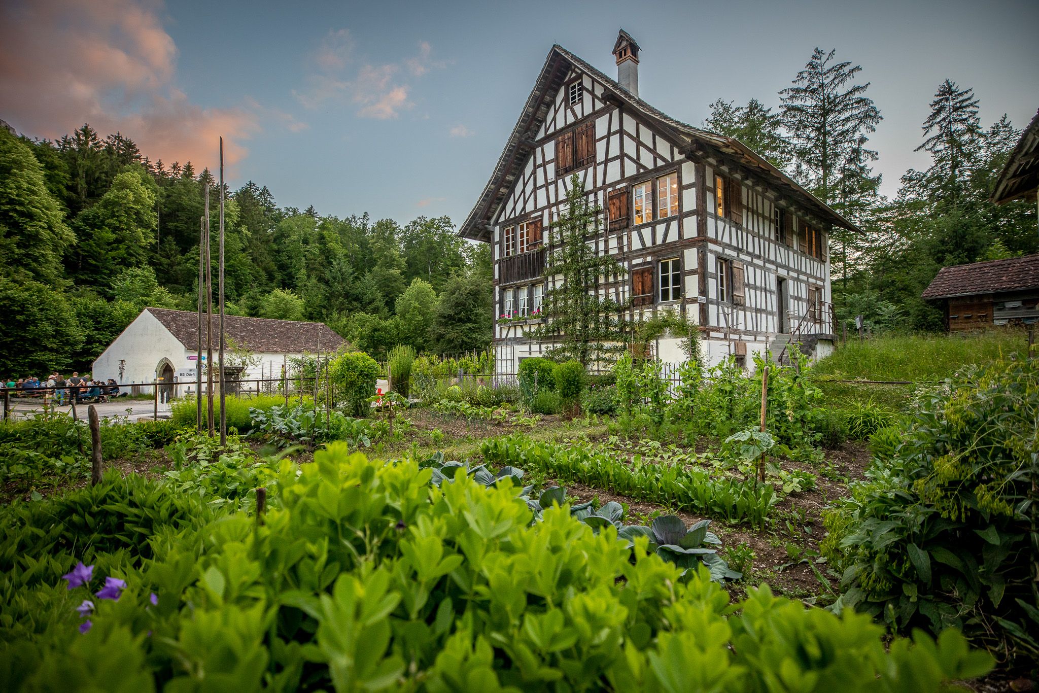 巴伦贝格：理想的农舍被绿树环绕，适合家庭出游。