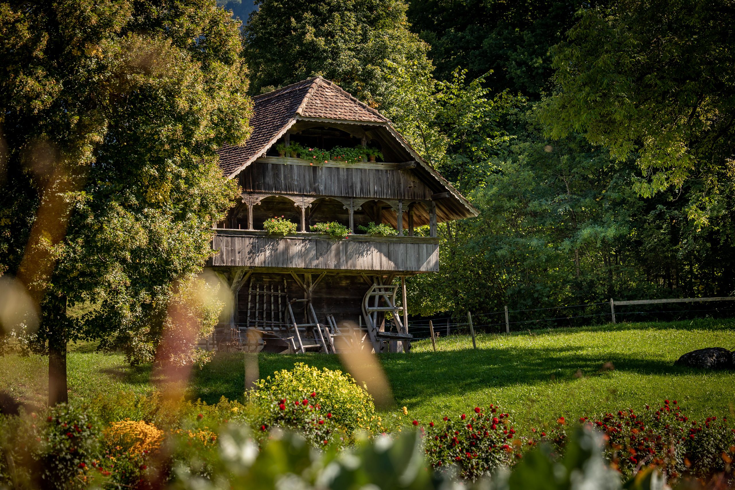 巴伦贝格：绿树成荫中的老木屋，配有花坛，非常适合团体在大自然中活动。
