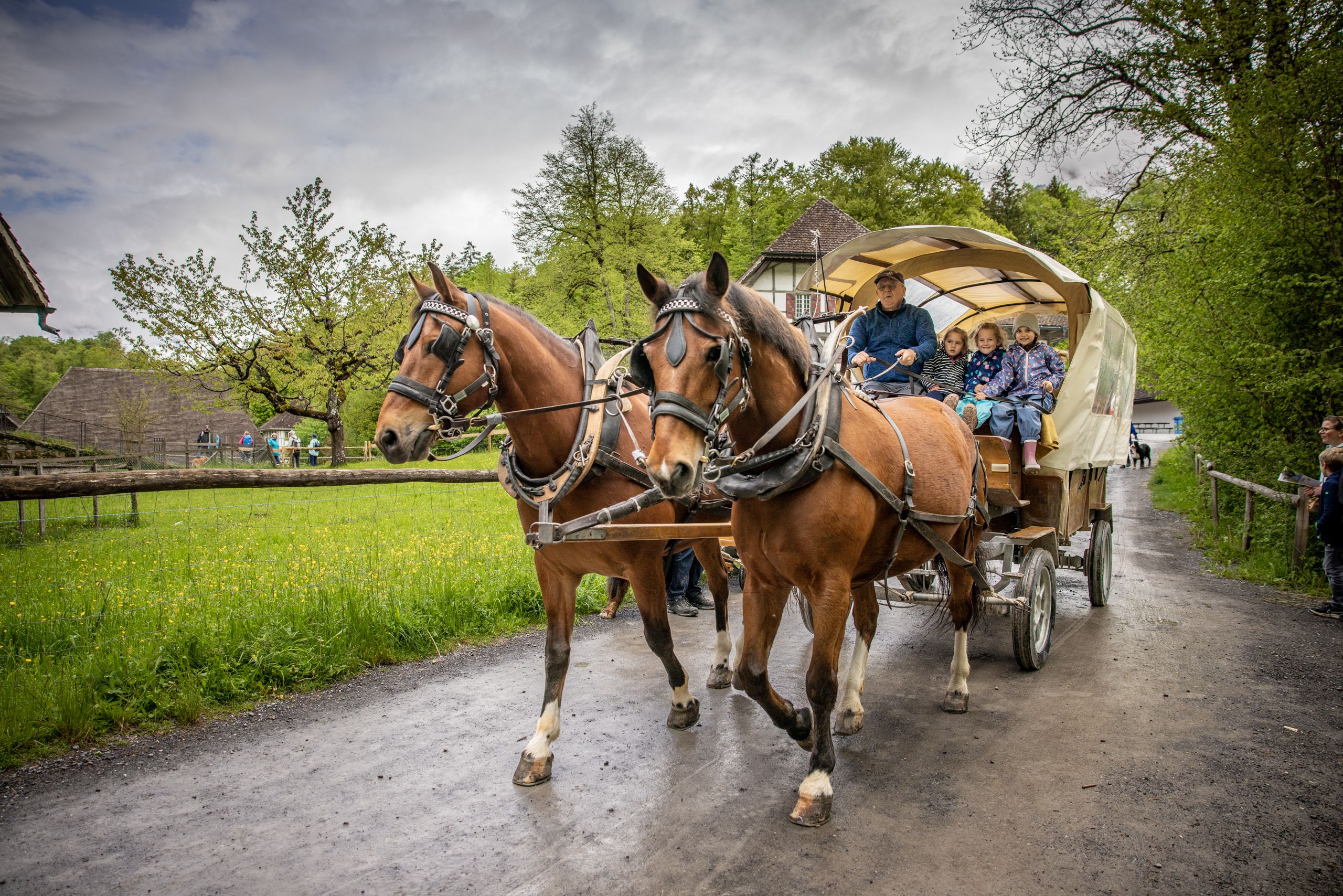 巴伦贝格：春天景色中家庭乘马车出游。