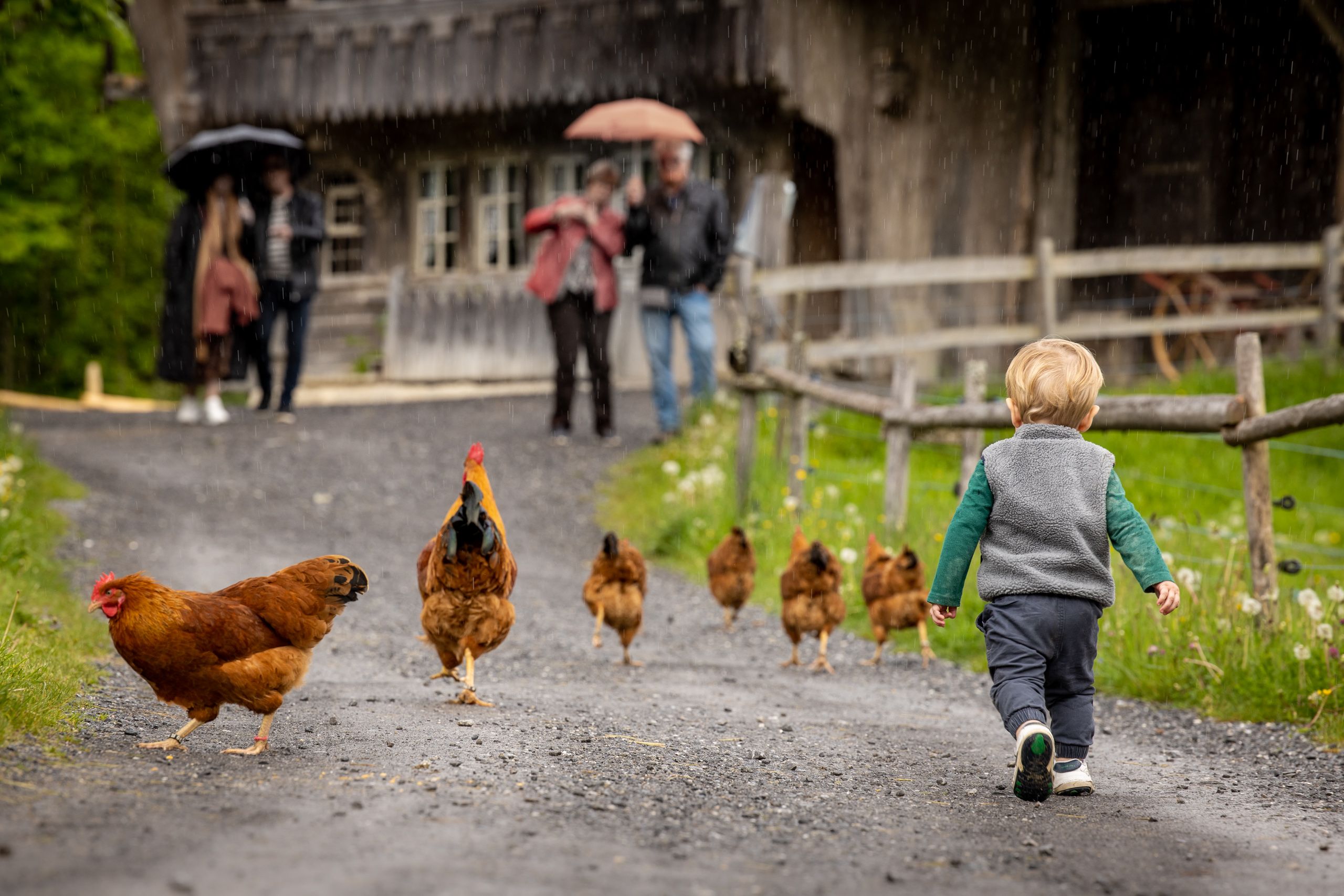 巴伦贝格：一个孩子在乡间小路上追赶着鸡，路旁是老房子。