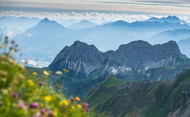 La Biosfera di Entlebuch mostra un paesaggio montano con fiori