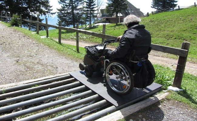 Rigi Ghiaia: Accesso per sedie a rotelle sul sentiero di montagna in Svizzera per esperienze naturali senza ostacoli