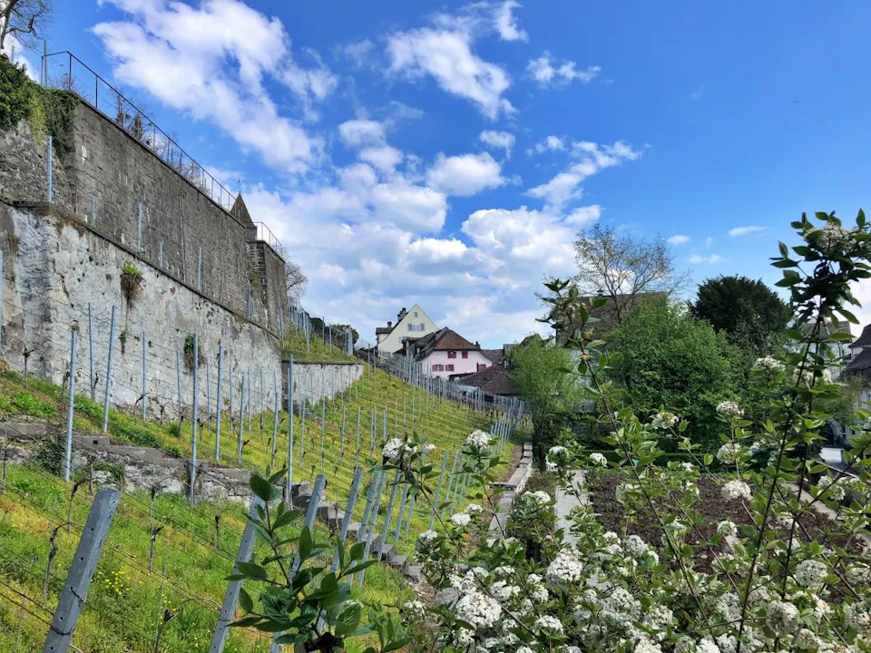 Rapperswil