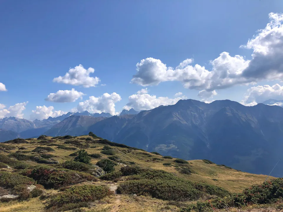 Wandern Aletschwald