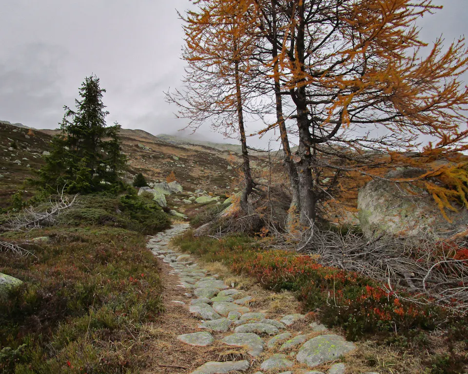 Mountainbike MTB Schweiz Grimsel Route 772