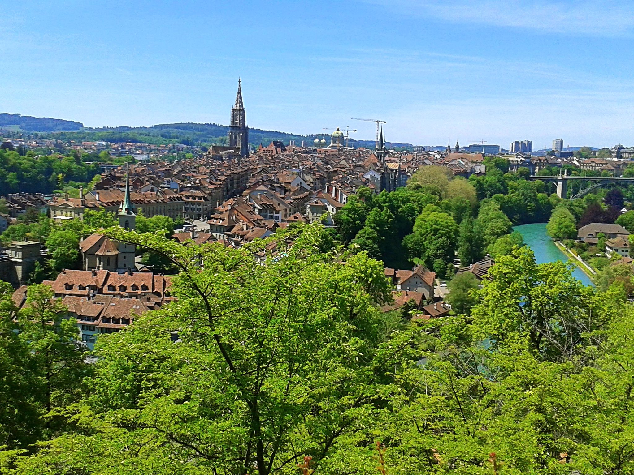 Rosengarten: Uitzicht op Berns oude stad, Aare rivier en groene landschap in de zomer.