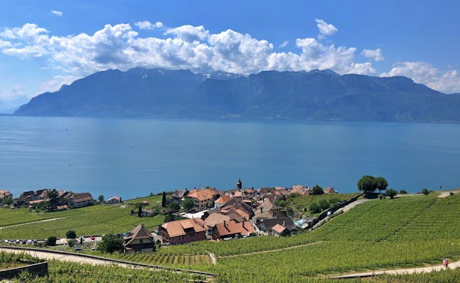 By bike through the vineyards in Lavaux