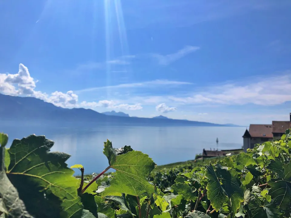 Genfersee