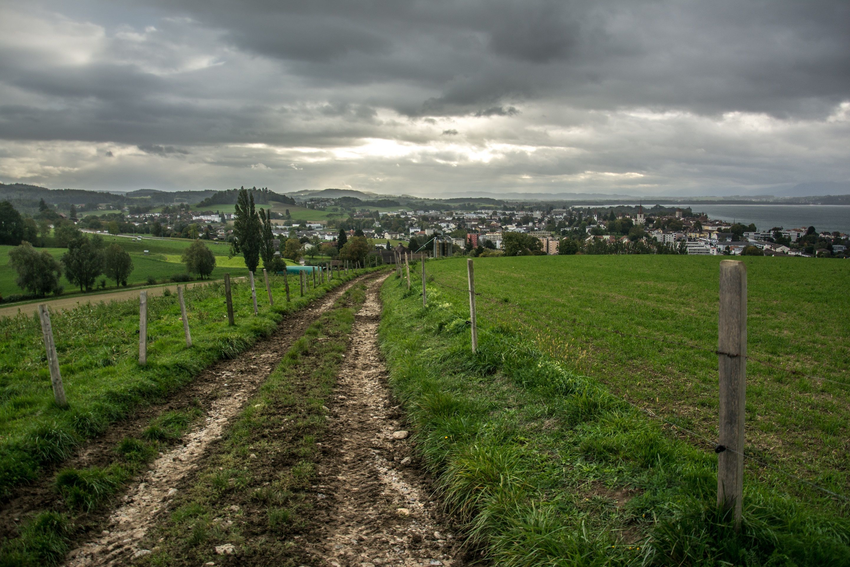 Path in Murten with a view of the landscape, ideal for walks and nature experiences.