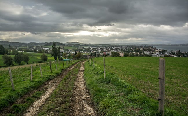 Passeggiata in un sentiero di campagna vicino a Murten (Foto: Unsplash)