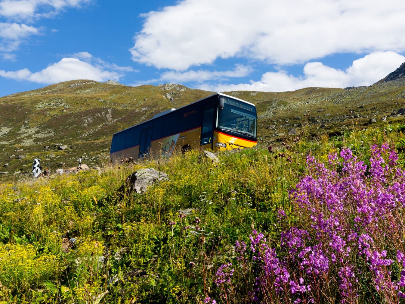 استمتع بركوب الحافلة في الطبيعة المتألقة بالجبال، مثالي للرحلات الجماعية والعائلية في الصيف.