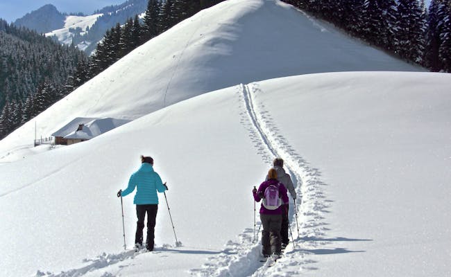 Snowshoe hiking in Charmey Freiburg in the snow, two people walking through the winter landscape.