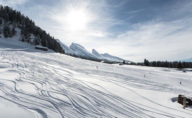 Winter (Foto: Toggenburg Bergbahnen AG)