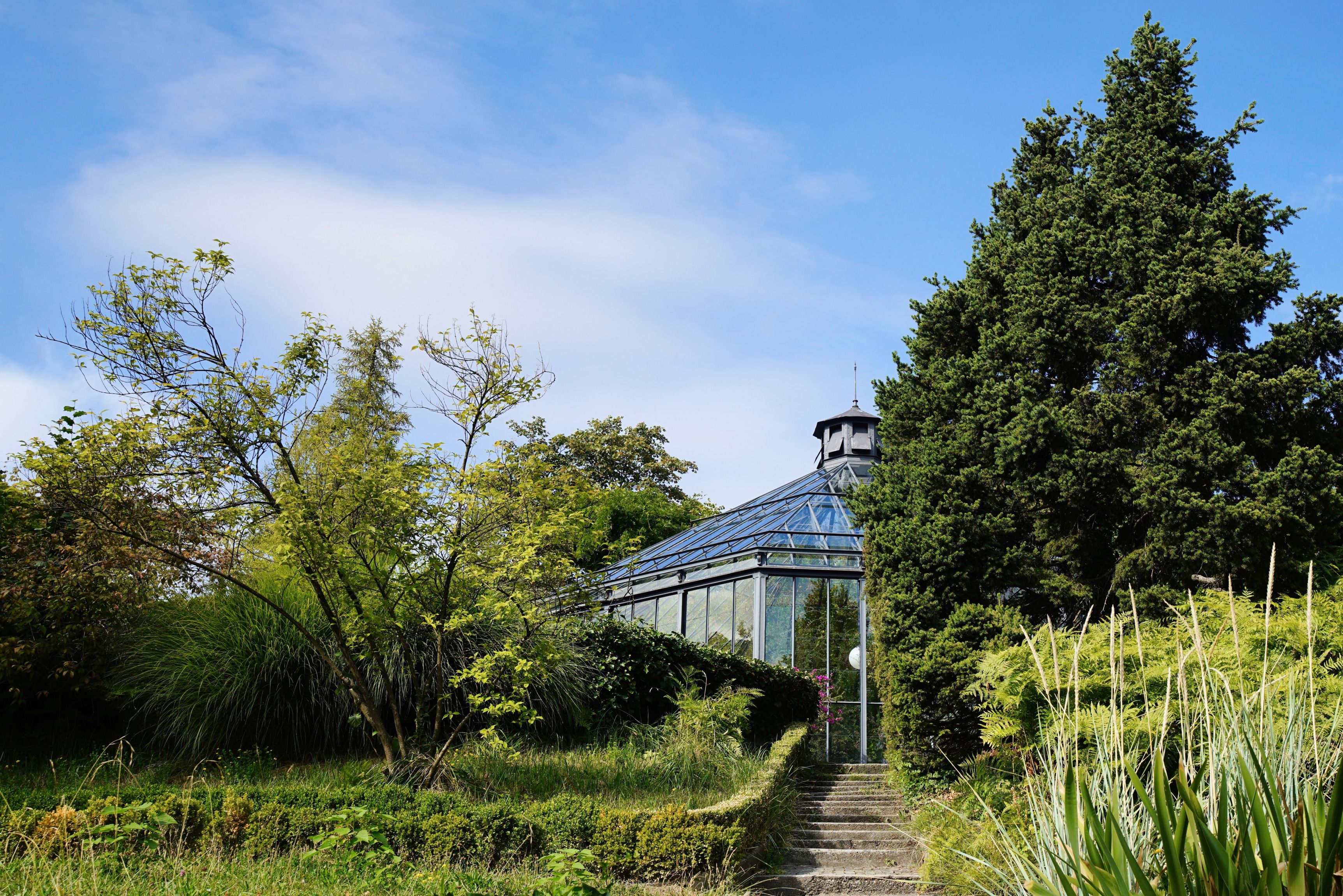 Botanická zahrada Zürich s skleníkem a stromy v pozadí.