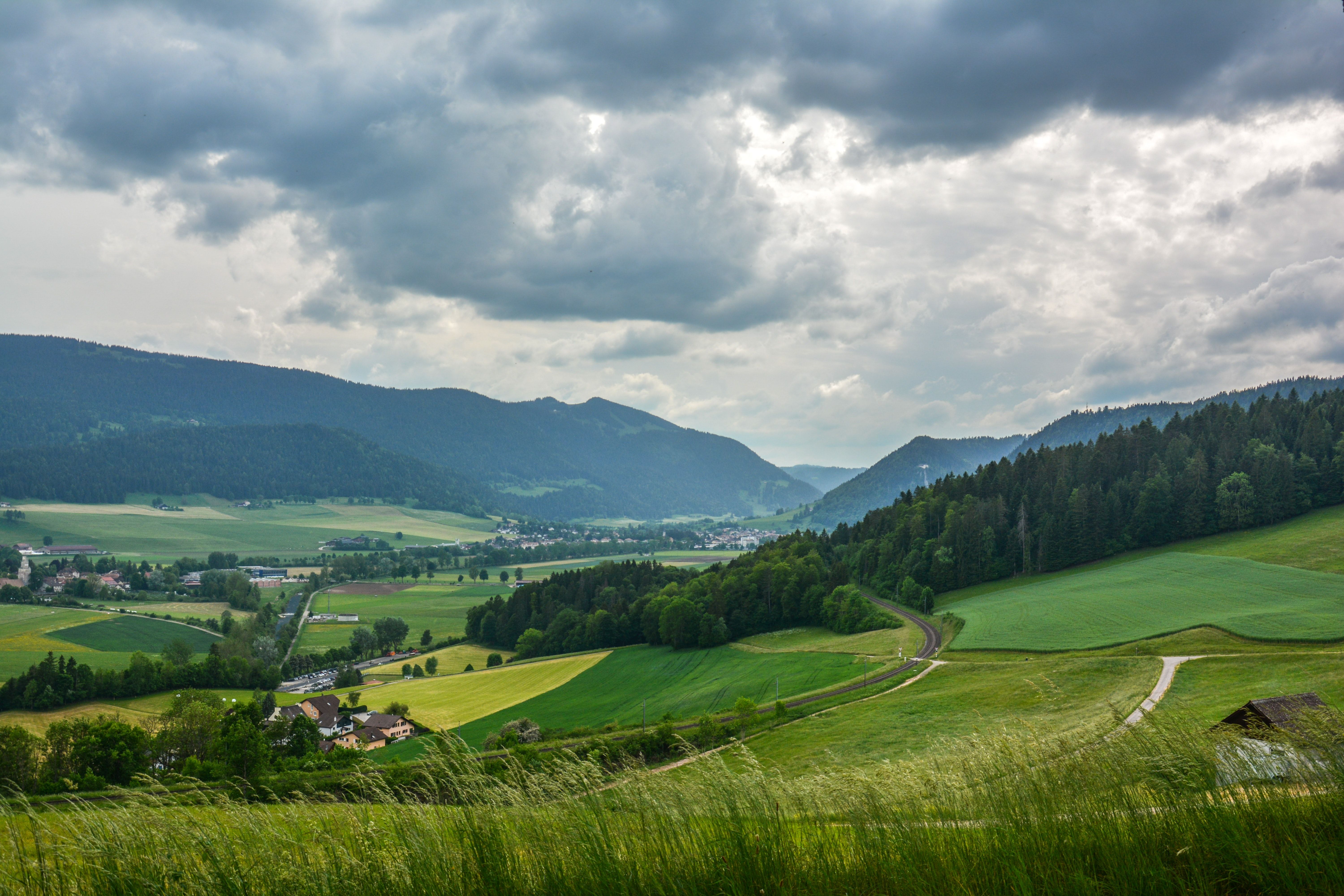 Meadow landscape of Neuenburg with gentle hills and wooded mountains, ideal for nature lovers.