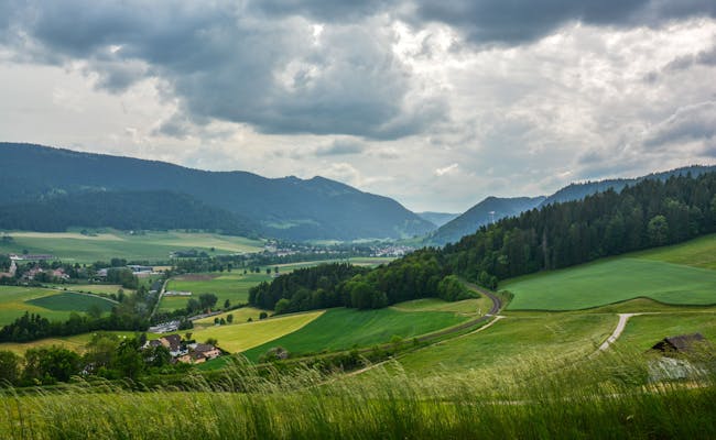 Meadow landscape near Neuchâtel (Photo: Unsplash)