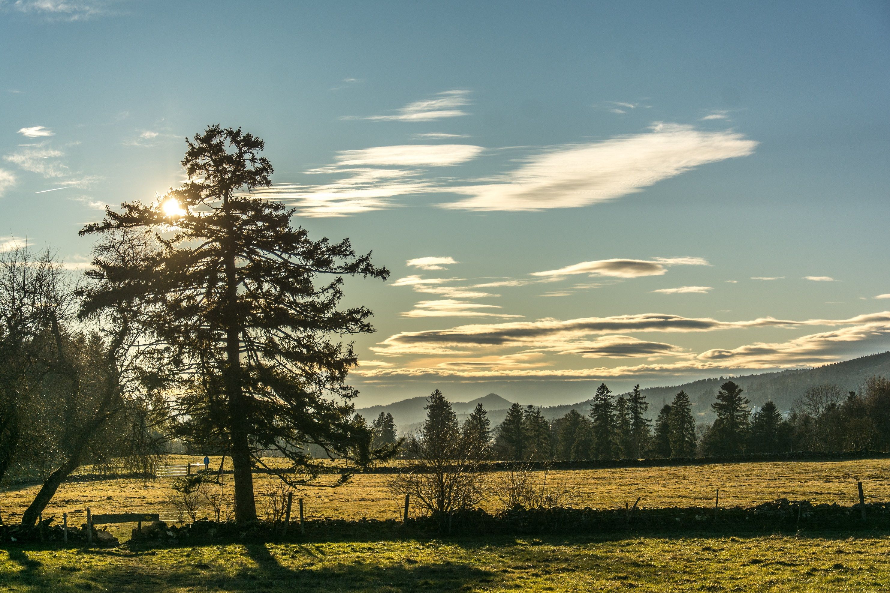 Golden light in La Chaux de Fonds, picturesque landscape with trees and mountains in the background.