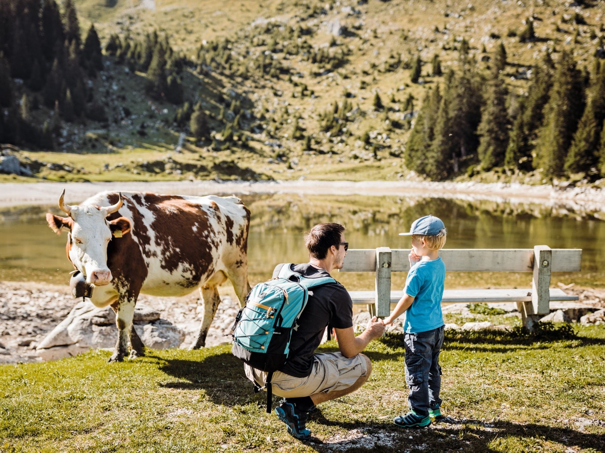 가트리치 자연공원: 아버지와 아이가 호수에서 소에게 먹이를 주고 있습니다.