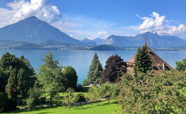 Lago di Thun: Sponda verde e maestose montagne sotto un sole splendente in estate.