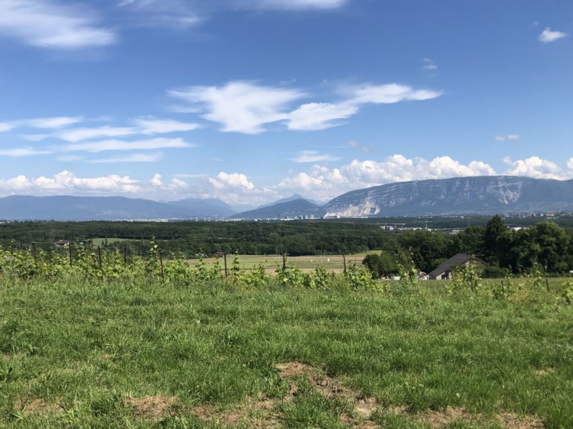 E-bike-tocht in de natuur met wijntasting, schilderachtig landschap en zachte heuvels in de Alpen.