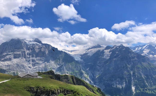 Grindelwald First: vista espetacular sobre as montanhas e a natureza verde no verão